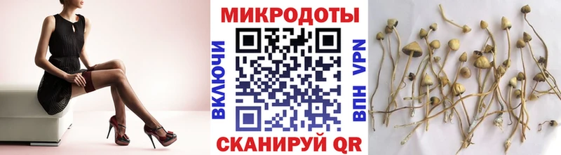 Купить  Алушта  Псилоцибиновые грибы Magic Shrooms 